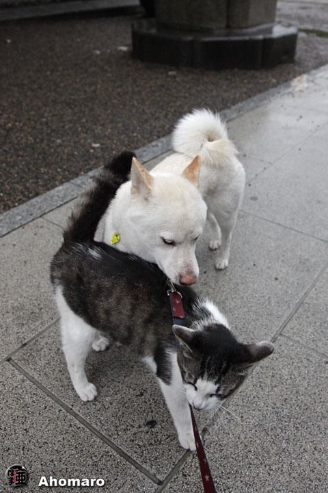 写真00