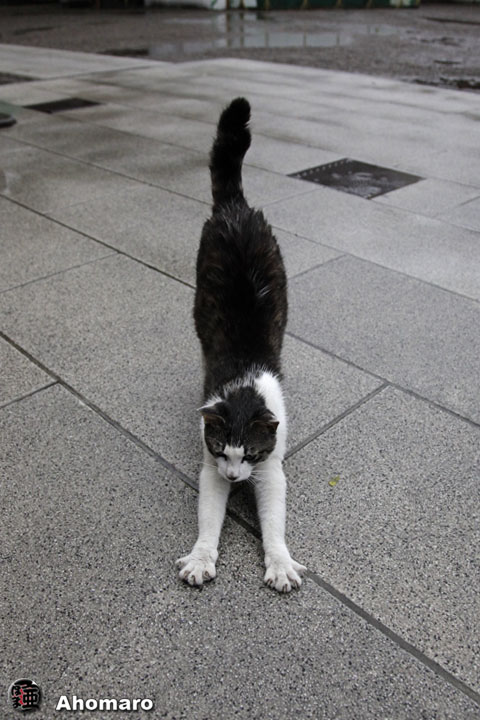 写真00