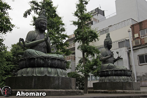 写真00