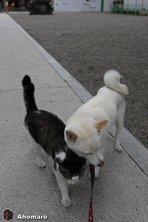 写真00