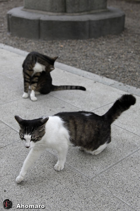 写真00