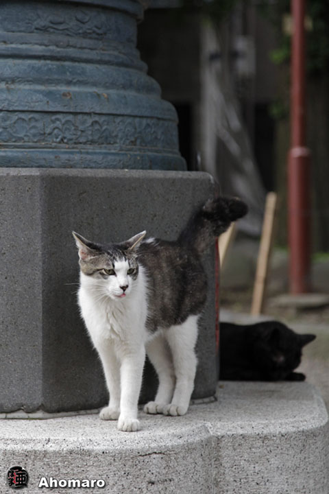 写真00