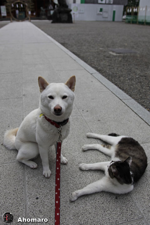 写真00