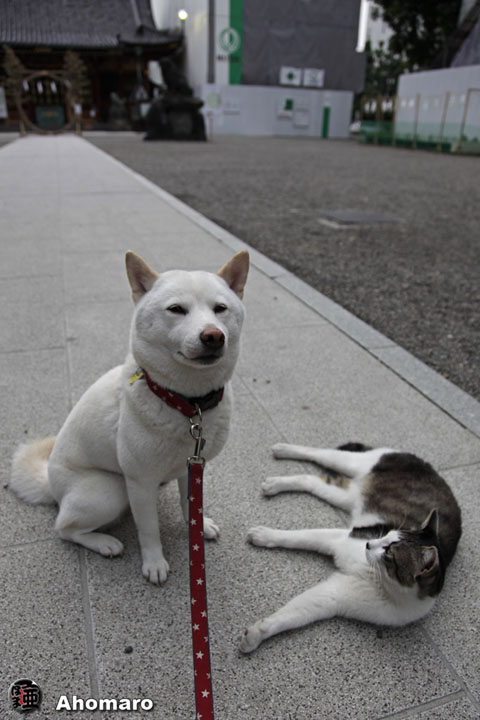 写真00