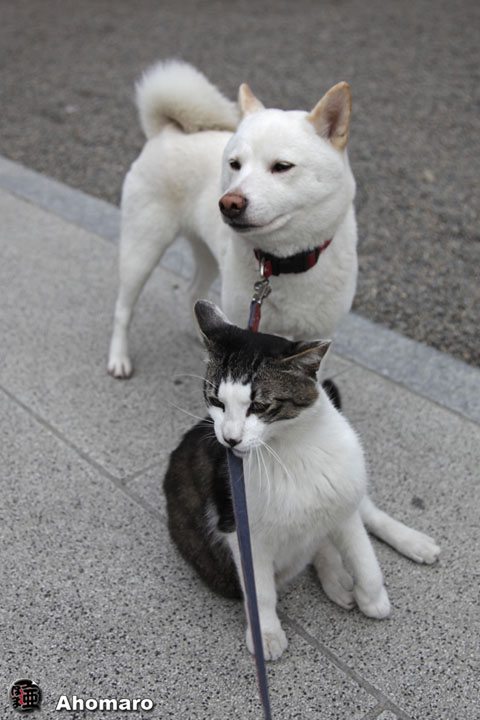 写真00