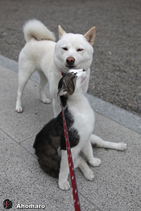 写真00