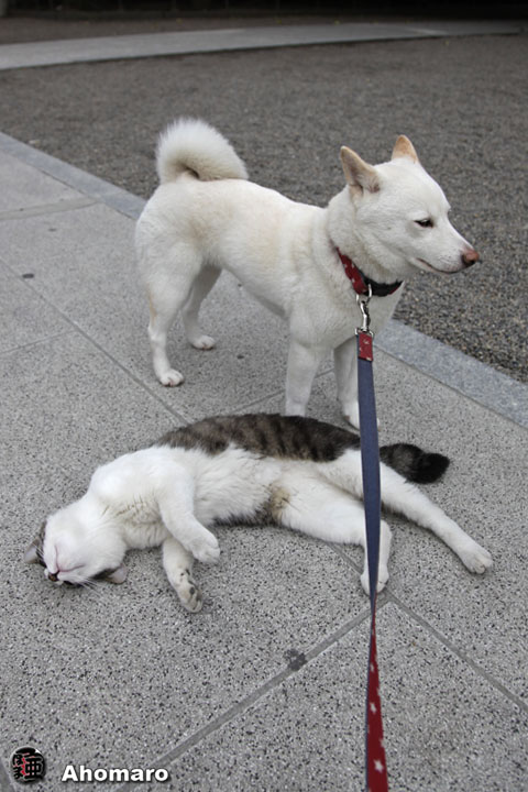 写真00