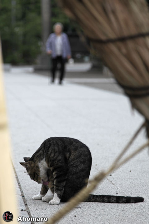 写真00