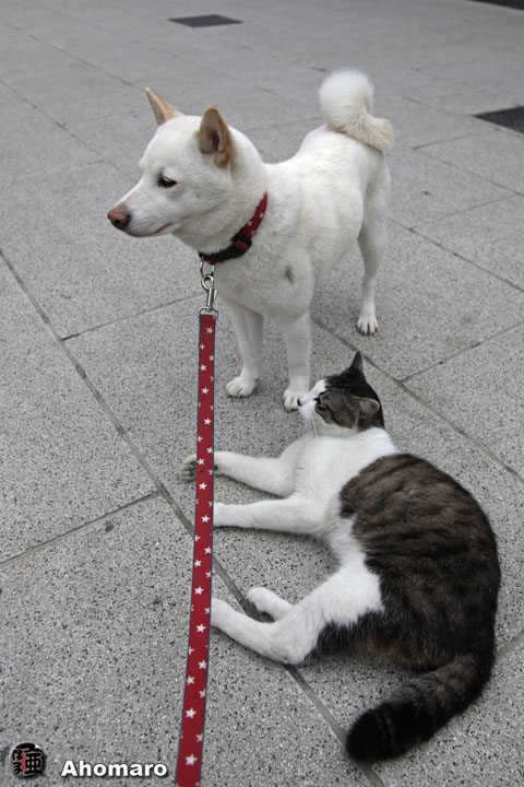 写真00