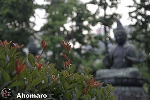 写真00