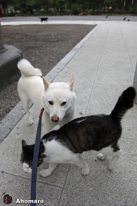 写真00