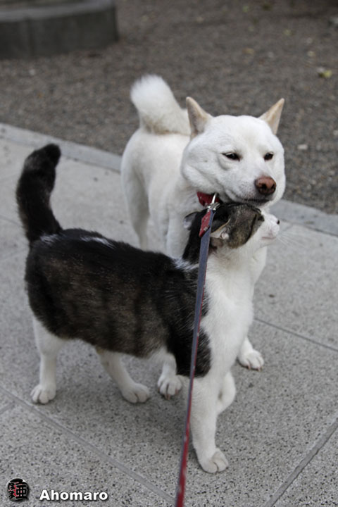 写真00