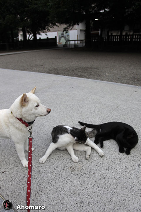写真00