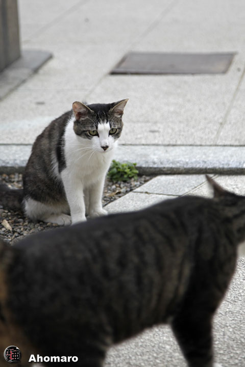 写真00