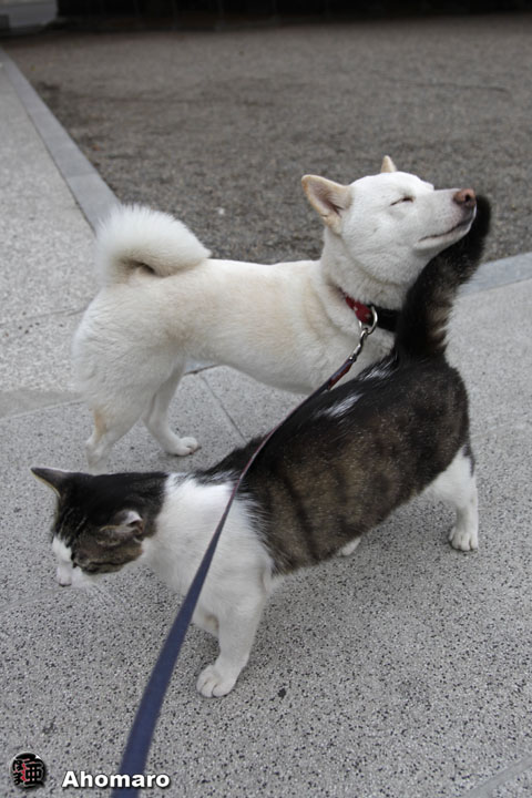 写真00