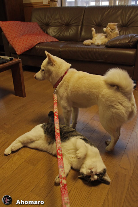 �ʐ^00