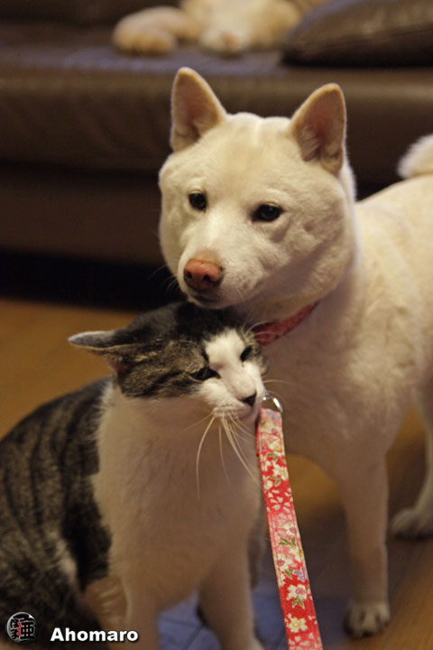 �ʐ^00