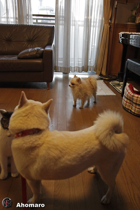 �ʐ^00