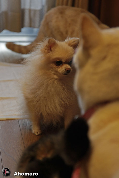 �ʐ^00