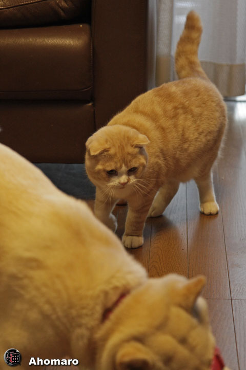 �ʐ^00
