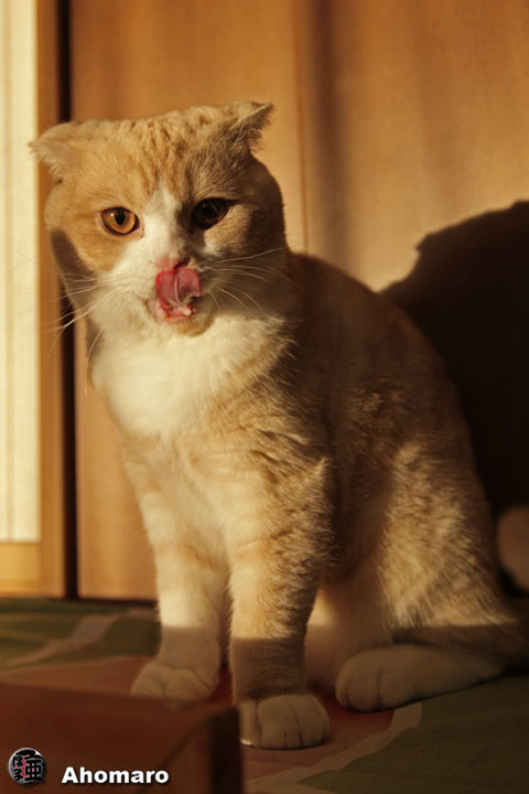 �ʐ^00