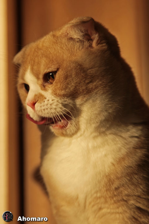 �ʐ^00