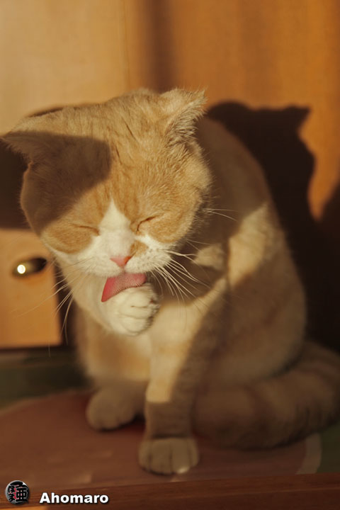 �ʐ^00