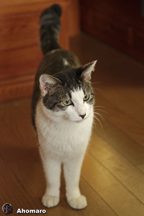 �ʐ^00