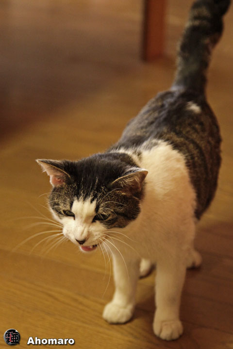 �ʐ^00