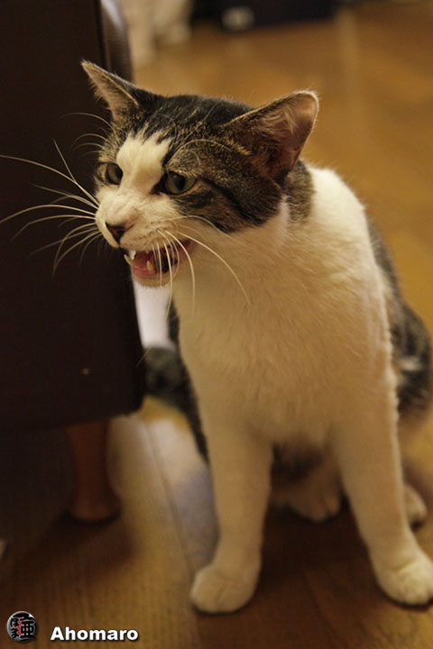 �ʐ^00