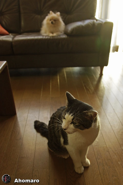 �ʐ^00