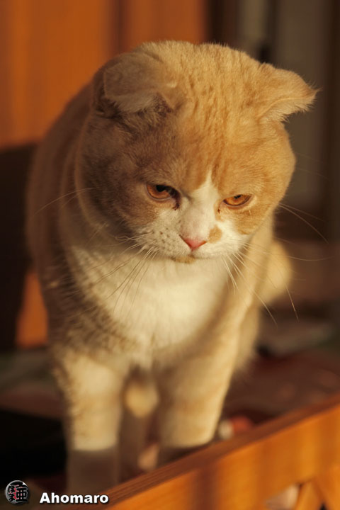 �ʐ^00