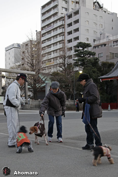 �ʐ^00
