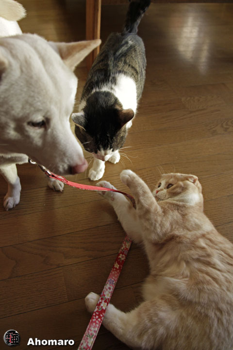 �ʐ^00