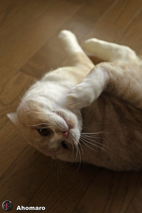 �ʐ^00