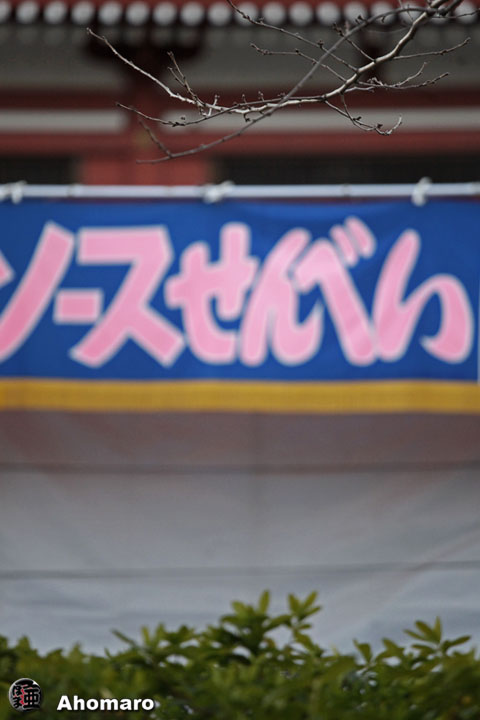 �ʐ^00
