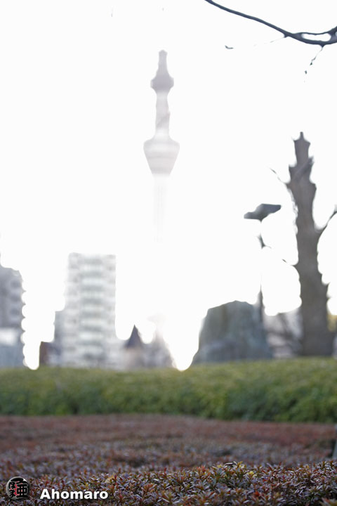 �ʐ^00