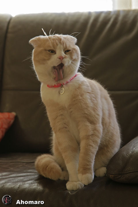 �ʐ^00
