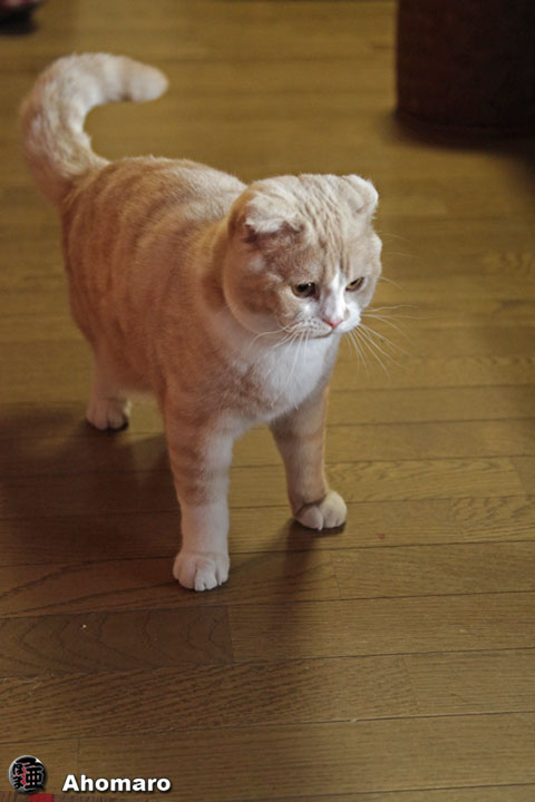 �ʐ^00