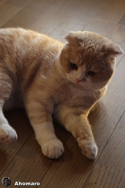 �ʐ^00