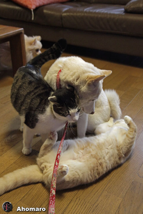 写真00