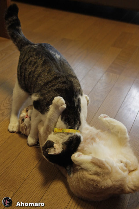 写真00