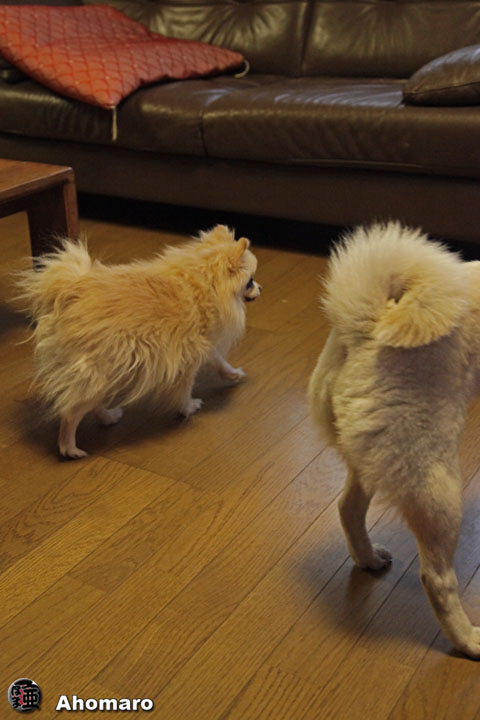 �ʐ^00