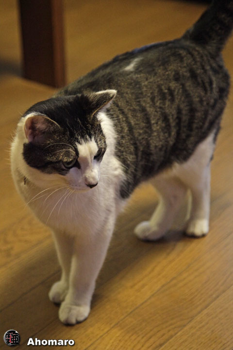 �ʐ^00