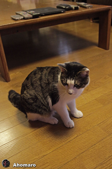 �ʐ^00