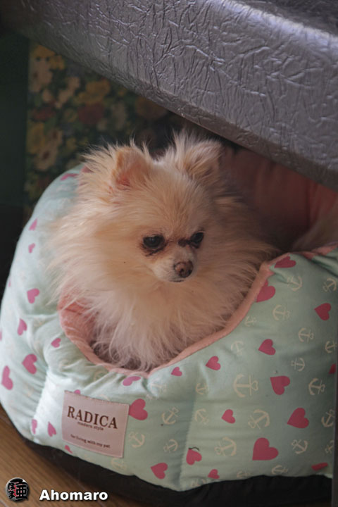 �ʐ^00