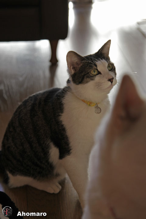 �ʐ^00