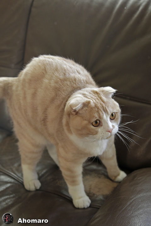 �ʐ^00