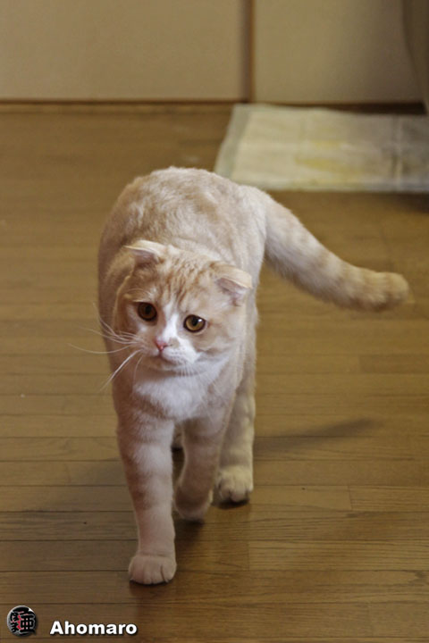 �ʐ^00