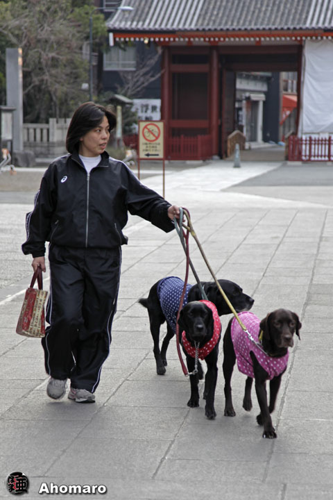 �ʐ^00